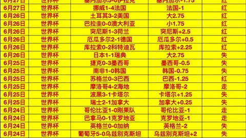 2026世界杯深度解析：全方位，不容错过
